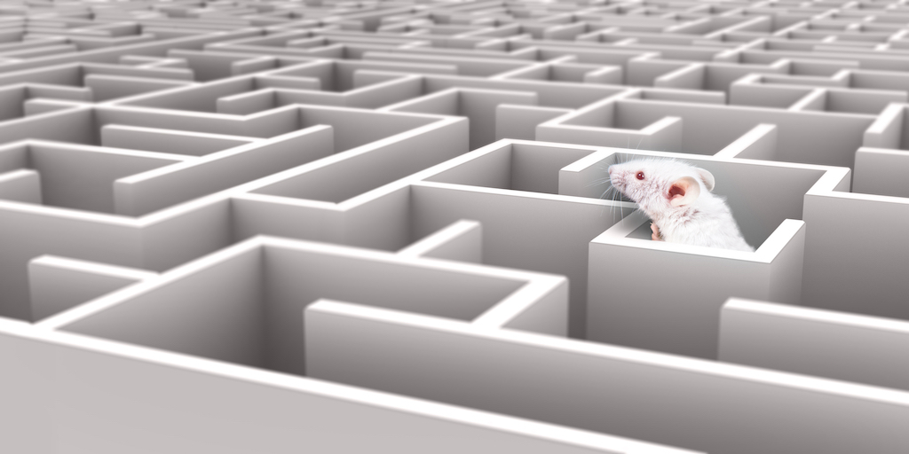 (Don't Be A) Lab Rat, Part 1 | Aviation Week Network - Vimarsana News