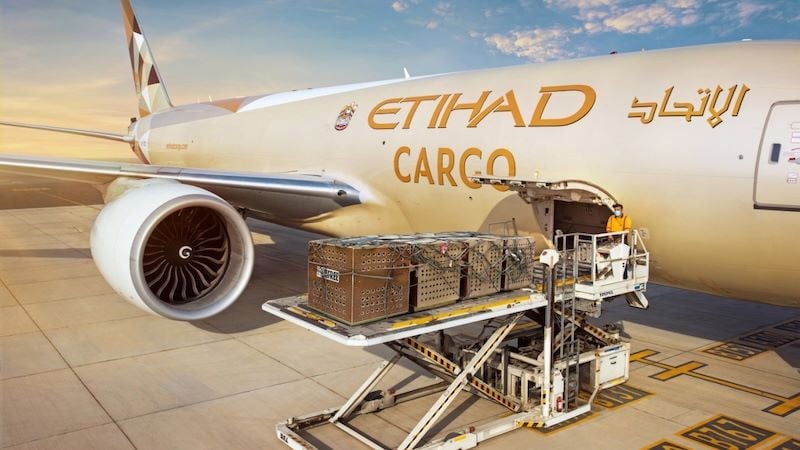 Etihad Cargo und Atlas Air schließen sich für den 777F-Betrieb zusammen