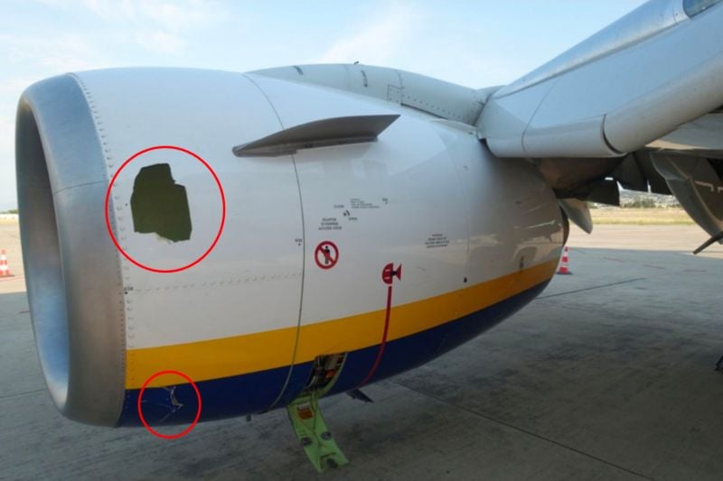 Malta Air Boeing 737 Engine Failure Shows Evidence Of Bird Strike