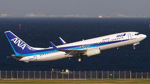 Japan domestic airliner