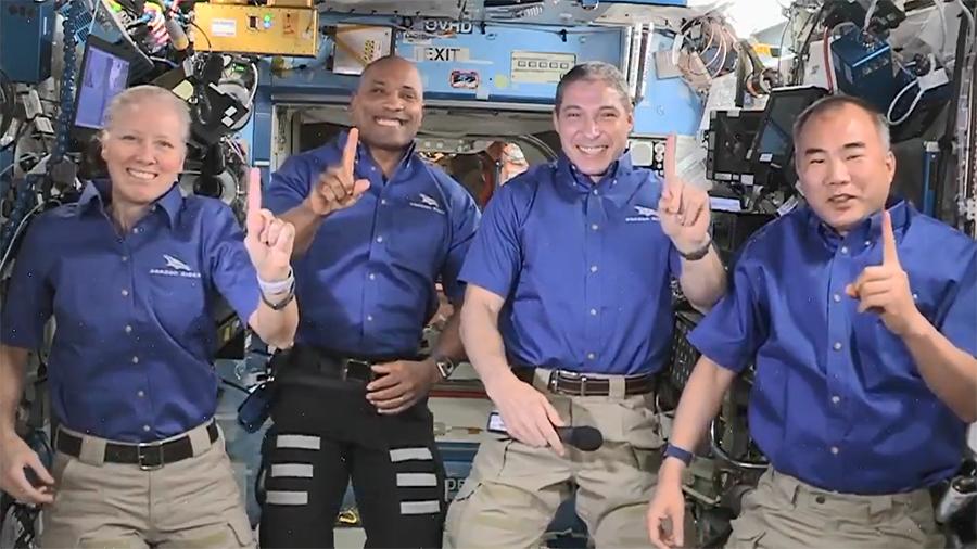 SpaceX Crew-1 Dragon crew