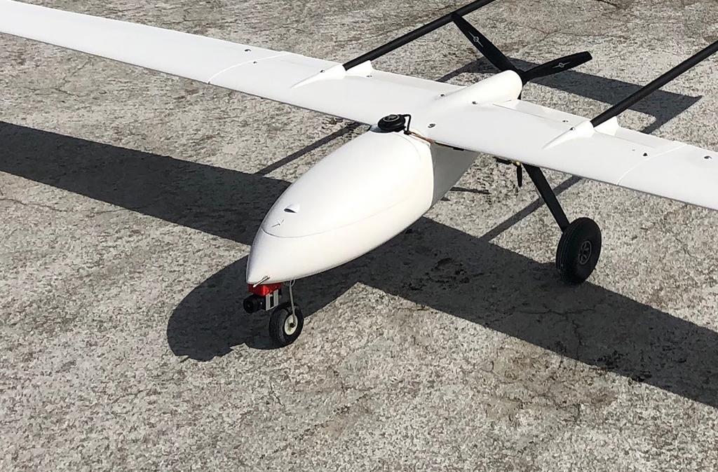 Albatross Casia close