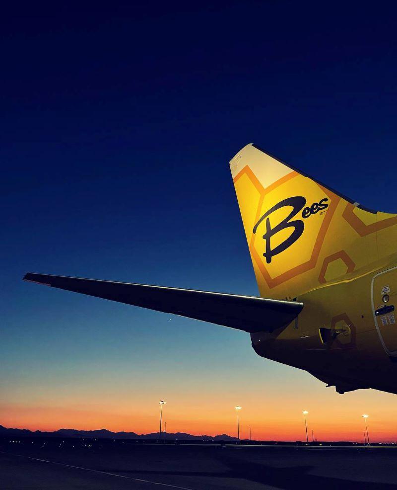 Bees Airlines 737-800