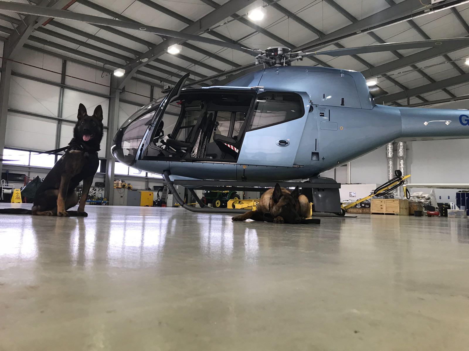 The NGOs Animals Saving Animals and Explorers Against Extinction have trained anti-poaching dogs at SaxonAir’s hangar, familiarizing the dogs with helicopters before they are sent on live missions.