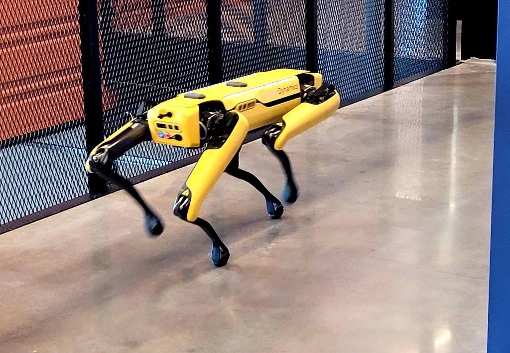 A robot in the hallway