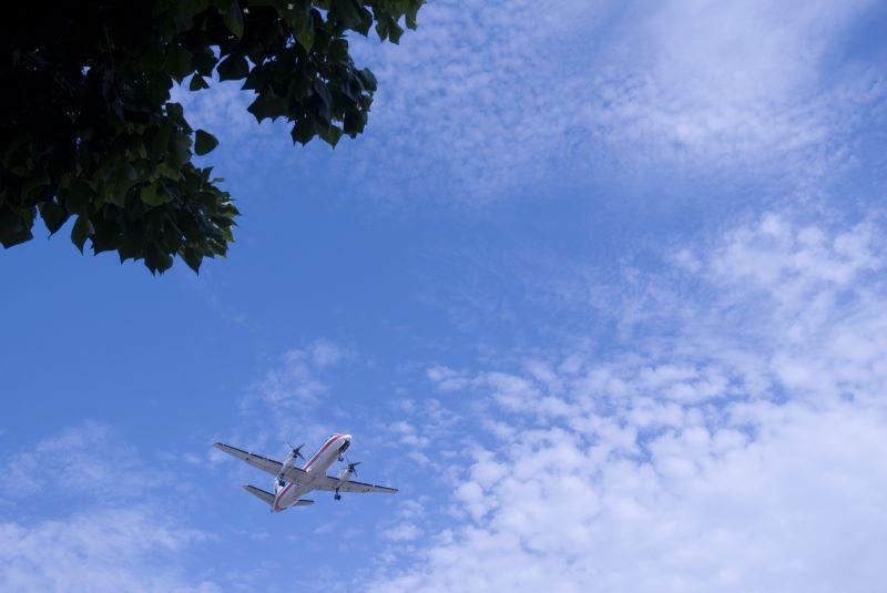 plane flying over trees