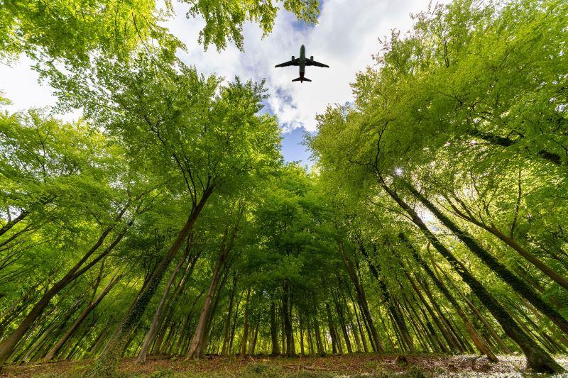 airplane flying above trees