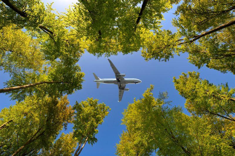 airplane over trees