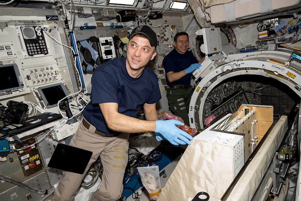 International Space Station crew members