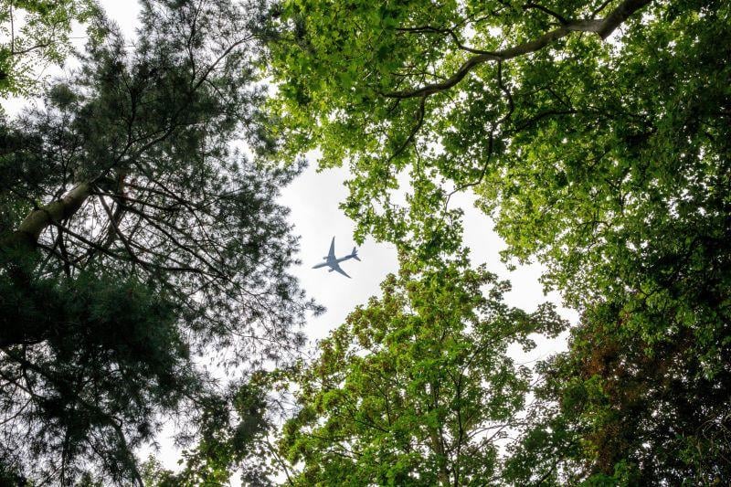 airplane over trees