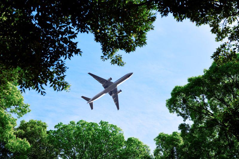 airplane over trees