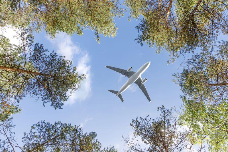 airplane over trees