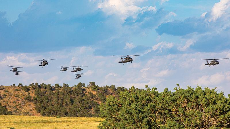 Black Hawks in flight