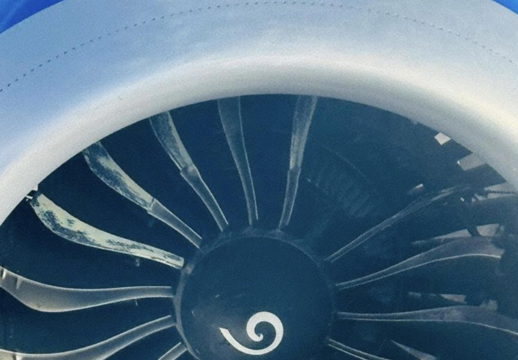 Leap fan blades after bird strike