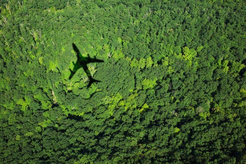 airplane flying over trees