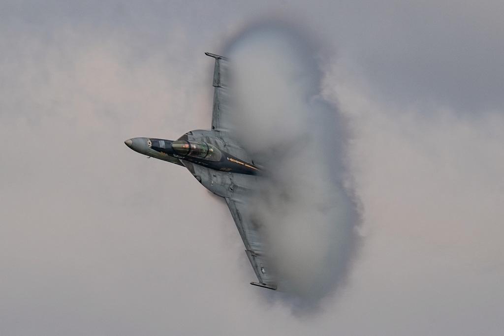 U.S. Navy Demonstration Team's F/A-18 "Rhino"