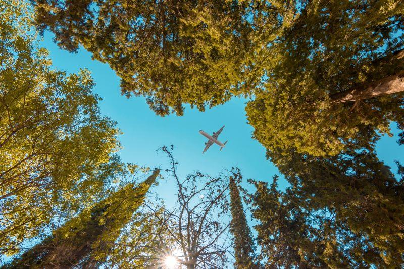 Airplane flying over autumn trees