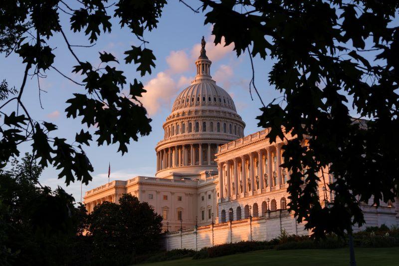 U.S. Capitol building surrounded by branches and leaves