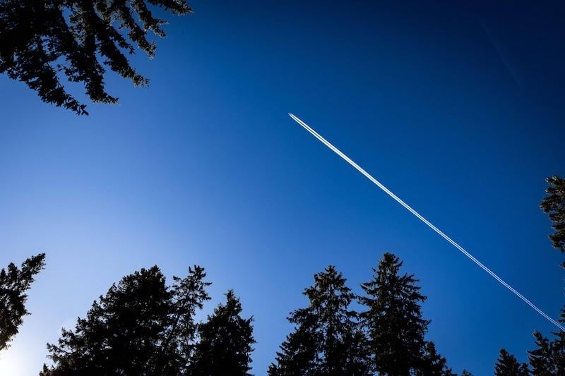 plane flying above trees