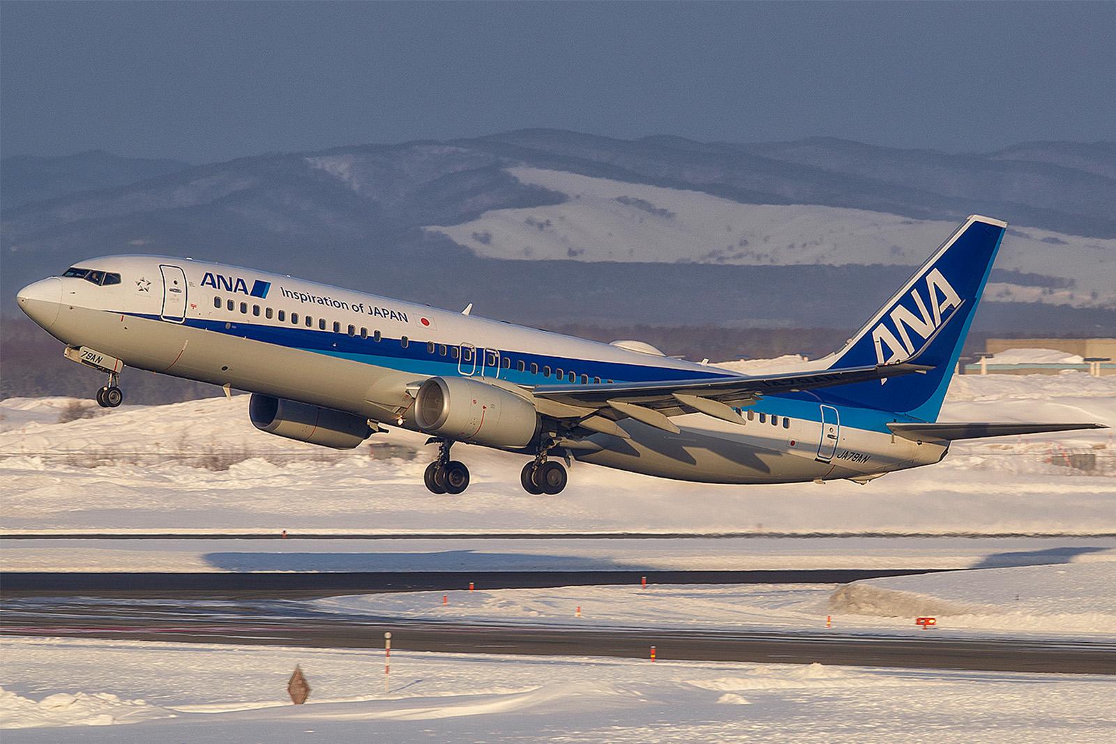 ANA aircraft