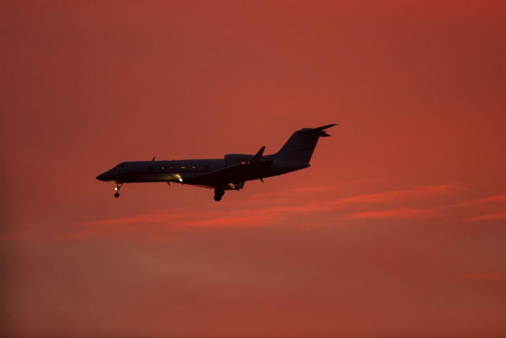  David McNew/Getty Images)