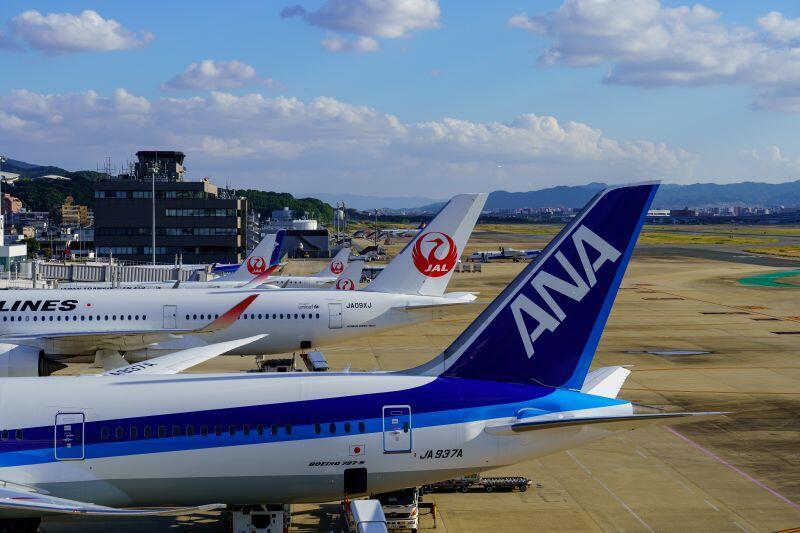 JAL and ANA