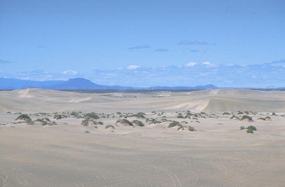 christmas valley