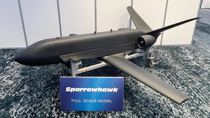 Sparrowhawk full-scale model