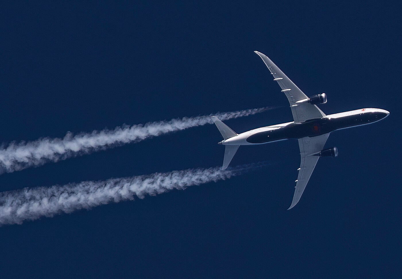 Air Canada 787