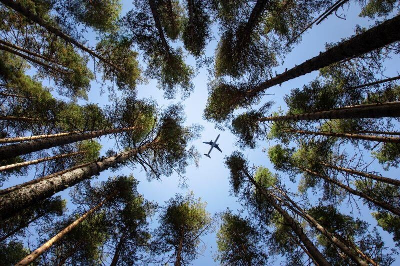 Aircraft flying above trees