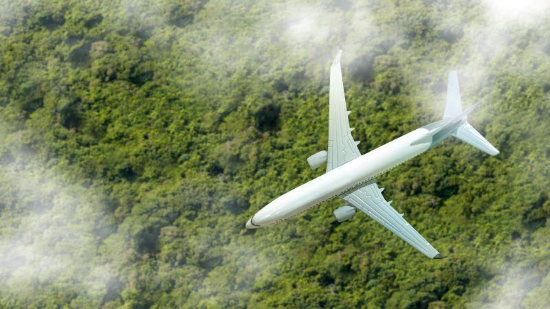 plane over jungle