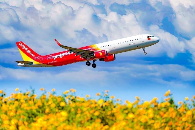 Vietjet aircraft flying above field of flowers