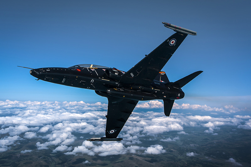 picture of hawk trainer flying