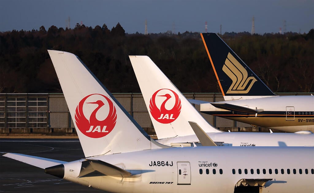 Japan Airlines Boeing 787 aircraft tail sections