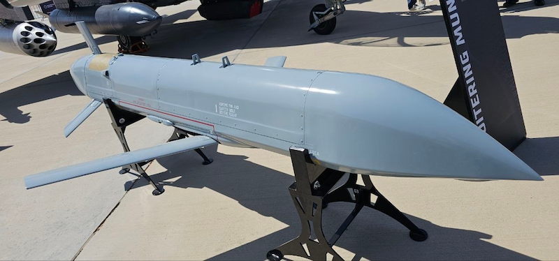 dan-t cruise missile