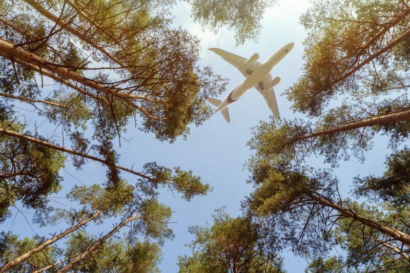 plane over treetops