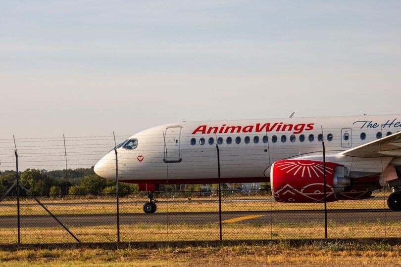 Animawings A220