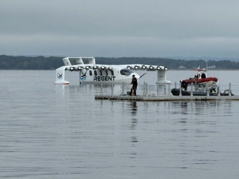 regent viceroy in water next to floating dock