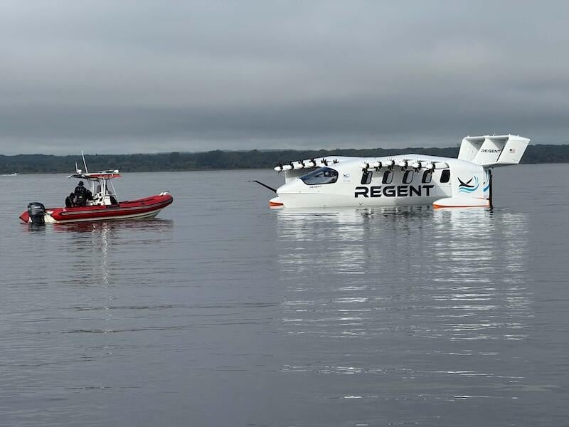 viceroy in water next to speedboat