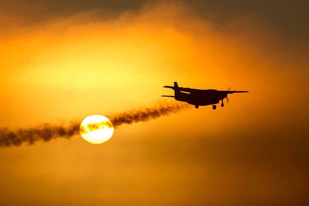 2014 Photo Contest Entries: Editor’s Picks - Last of the Best of the ...