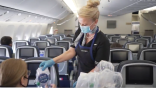 United Airlines flight attendant