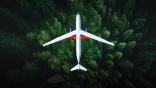 aircraft over trees