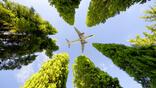 Plane above trees
