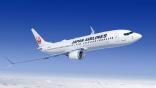 Japan Airlines Boeing 737-8