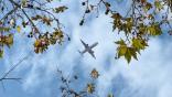 airplane over trees