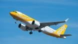 Scoot Airbus A320neo