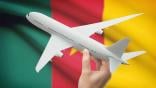 Cameroon flag aviation graphic