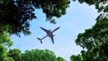 airplane over trees