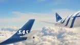 sas skyteam tail fin logos