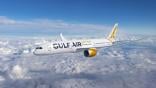 Gulf Air 787